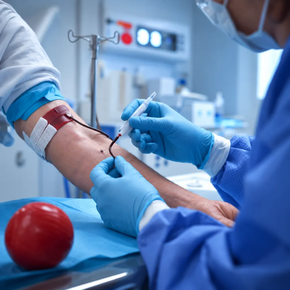 Clinical Vascular Procedure